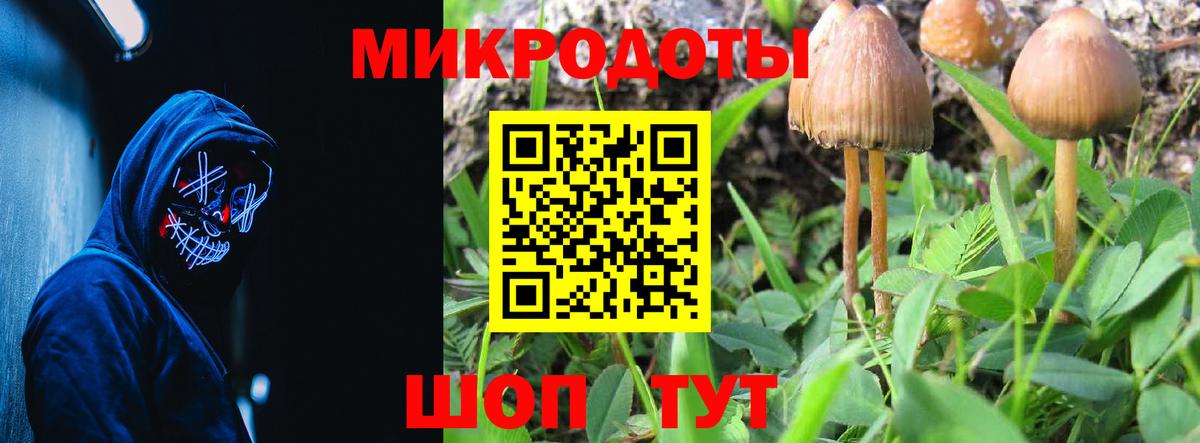 Псилоцибиновые грибы мухоморы Аксай